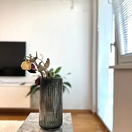 Trev The Moon Apartment